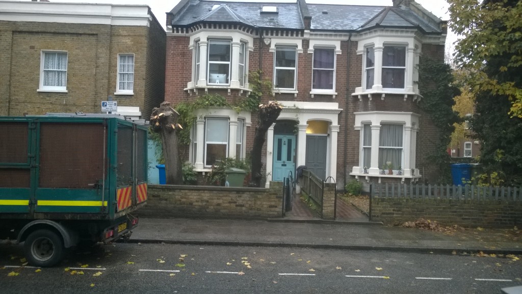2 x Limes, 100 Denmark Road SE5, 261114, after front view