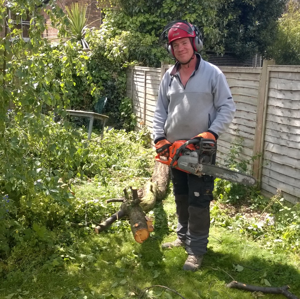 Ralph delimbing a small plum tree, 210515, Streatham