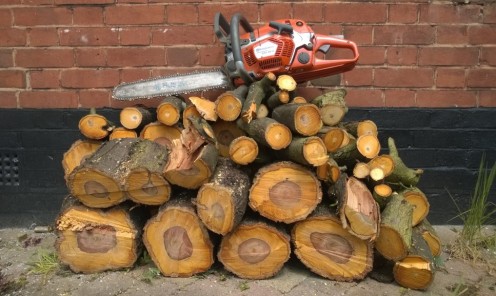 Logs Cut and left or removed
